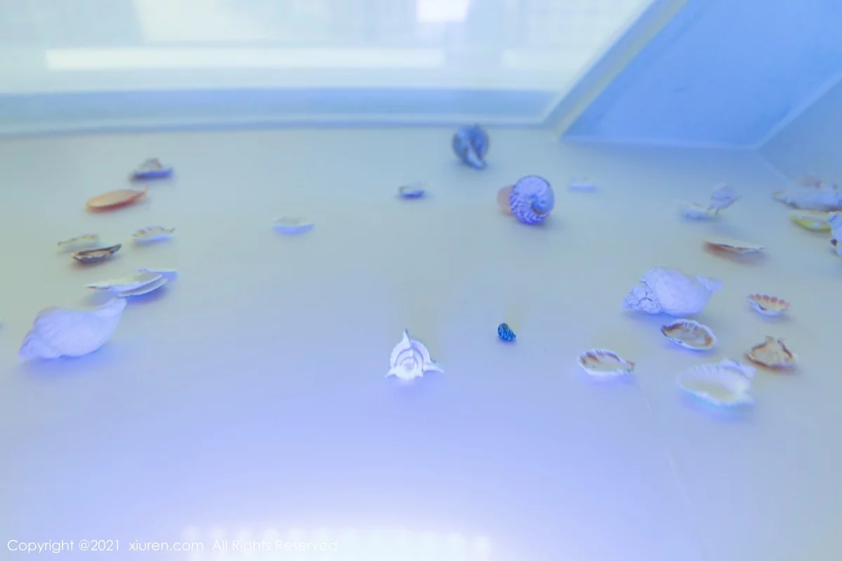 Xrmnw.Vip_允爾_写真